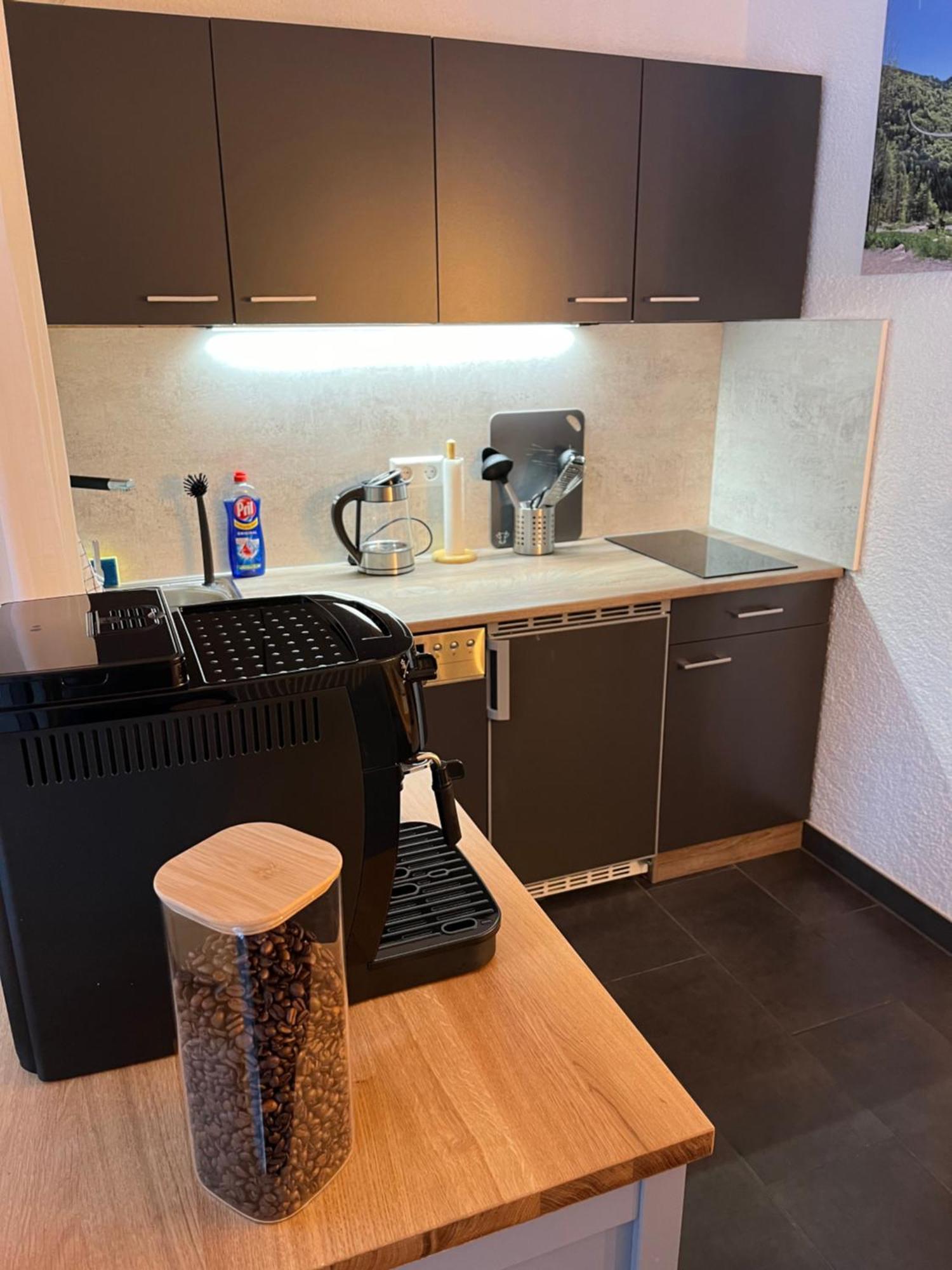 Ferienappartement Schwarzwaldeck In Todtnauberg Eksteriør bilde